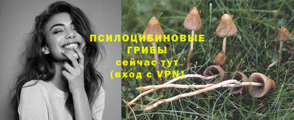 кристаллы Няндома