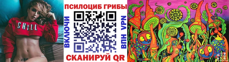 цена наркотик  Острогожск  Псилоцибиновые грибы MAGIC MUSHROOMS 