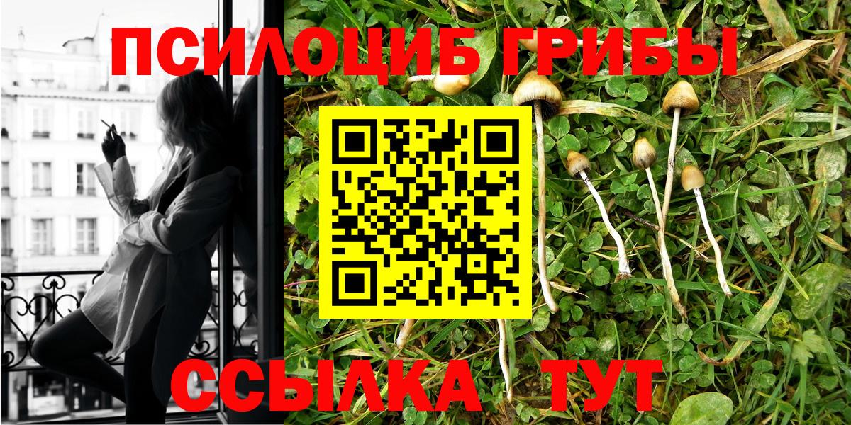 Галлюциногенные грибы прущие грибы Острогожск
