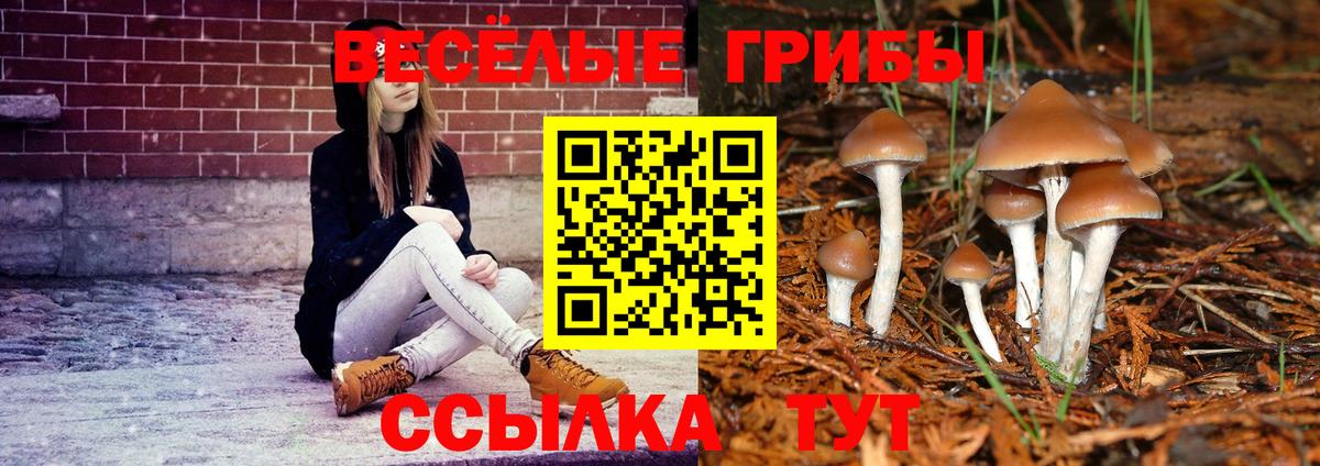 Острогожск  Псилоцибиновые грибы Psilocybe  Вход с VPN 